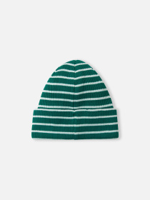 Шапка REIMA Reissuun модель 5300073B-8941 Фото