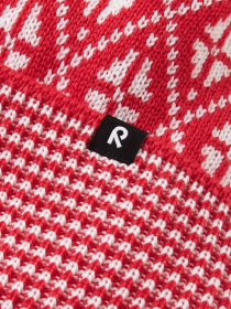 Шапка REIMA Kuurassa модель 5300216A-3881 Фото