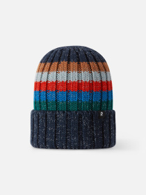 Шапка REIMA Vilke модель 5300294A-6981 Фото