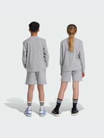 Повсякденні шорти Adidas модель IX5237 Фото