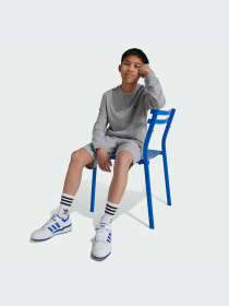 Повсякденні шорти Adidas модель IX5237 Фото