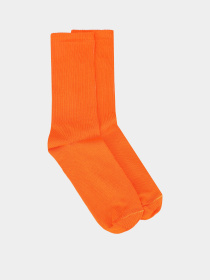Носки Ейсік модель Pomaranchevi Фото