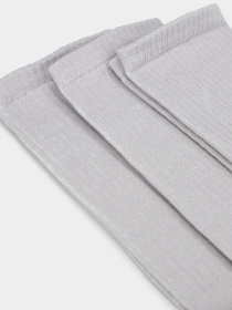 Шкарпетки Ейсік модель Svitlo-siri Шкарпетки Ейсік модель Svitlo-siri Фото