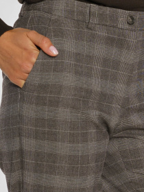 Классические штаны Arber модель W01.07.39.431 Классические штаны Arber модель W01.07.39.431 Фото