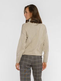 Свитер Arber модель W10.17.16.441 Фото