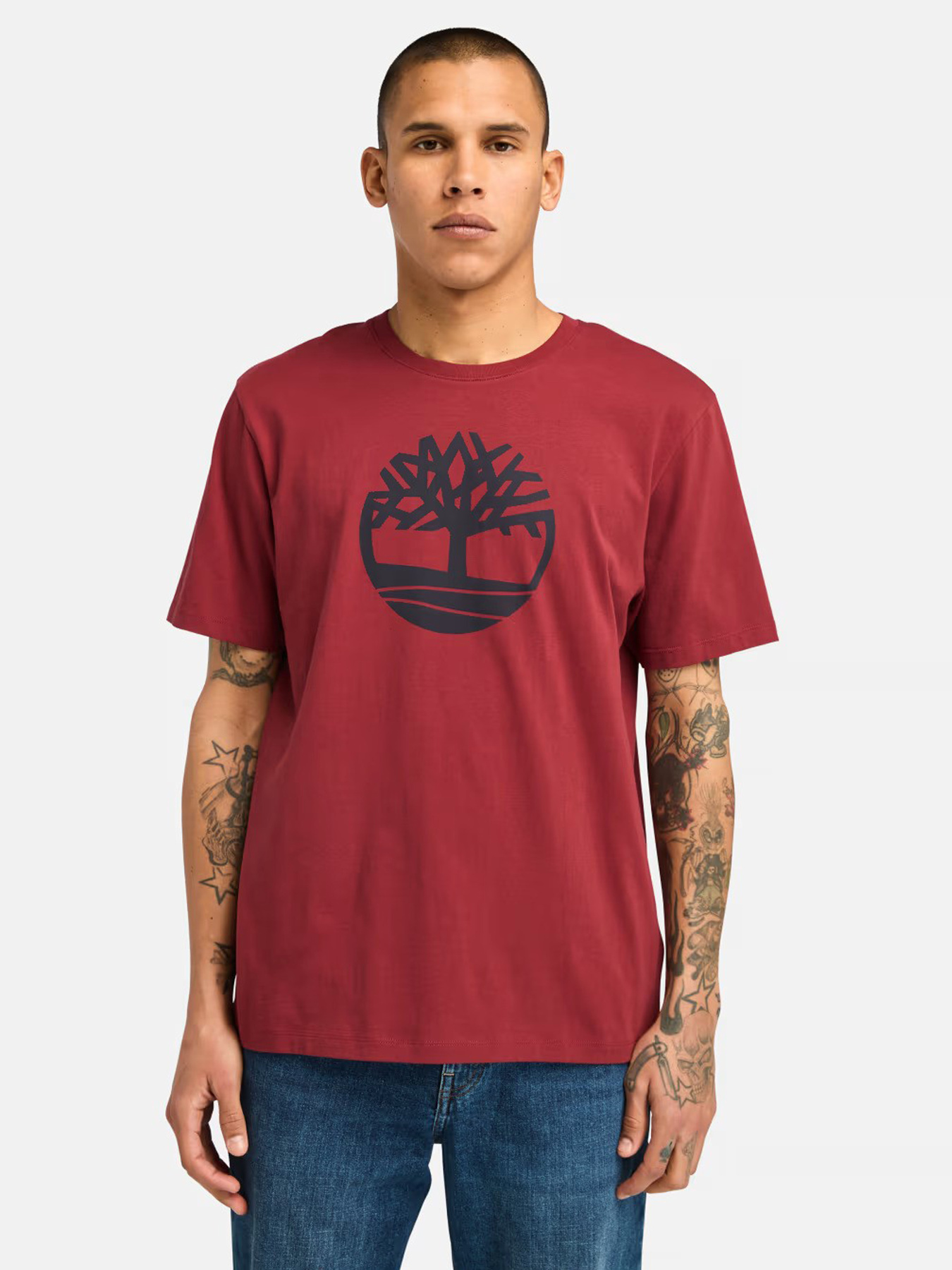 Футболки и поло Timberland модель TB0A2C2R600 Фото