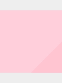 Набор носков PUMA Women Sneaker 2p модель 907955 Фото