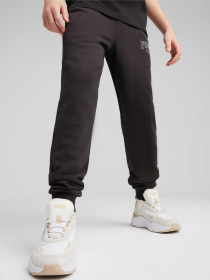 Штаны спортивные PUMA Squad Sweatpants модель 679264 Фото
