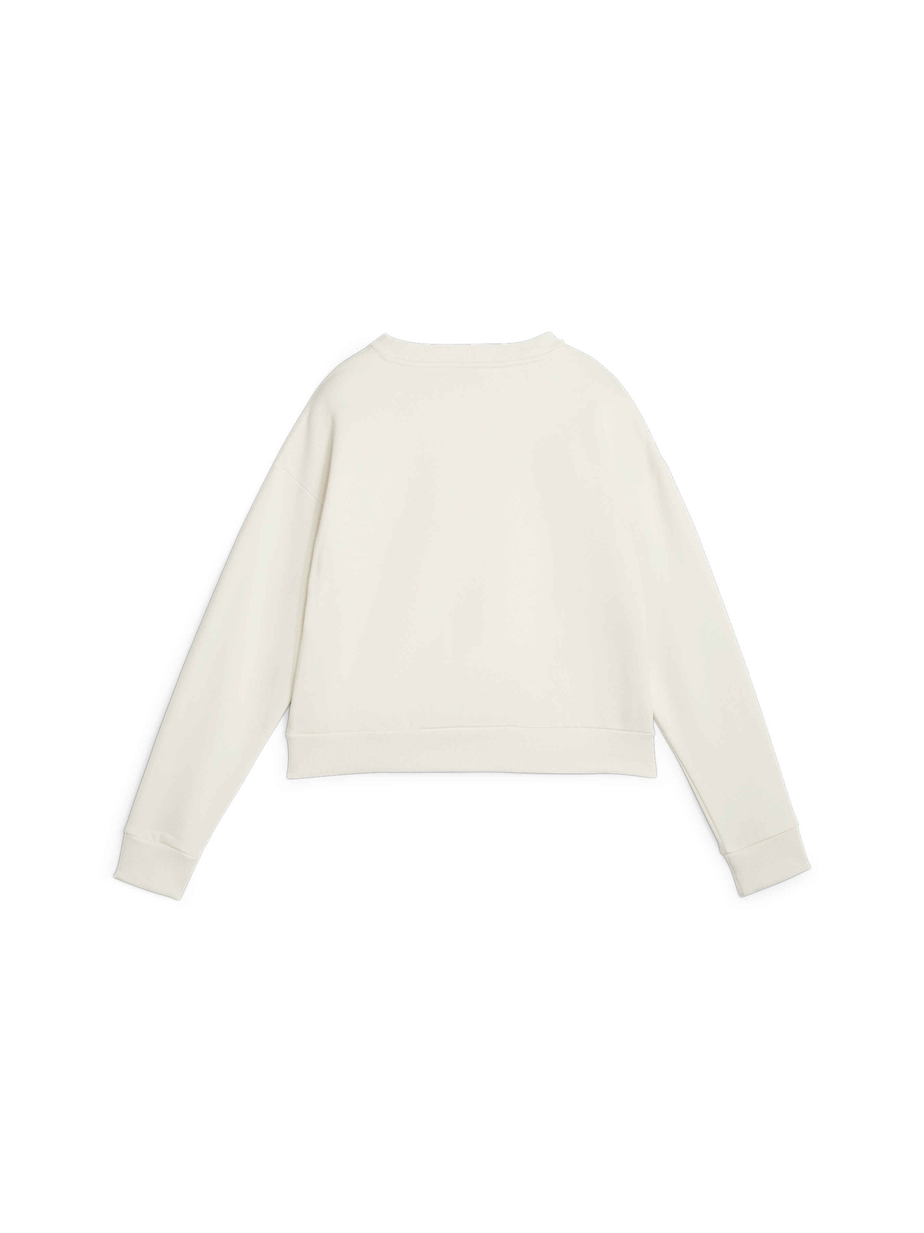 Свитшот PUMA Ess+ Relaxed Crew Fl модель 676801 Фото