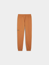 Штани спортивні PUMA Rad/cal Pants модель 681621 Фото