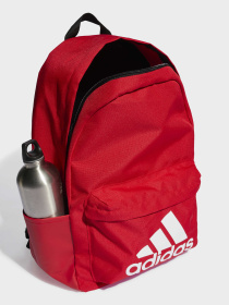 Рюкзак Adidas модель IL5809 Фото