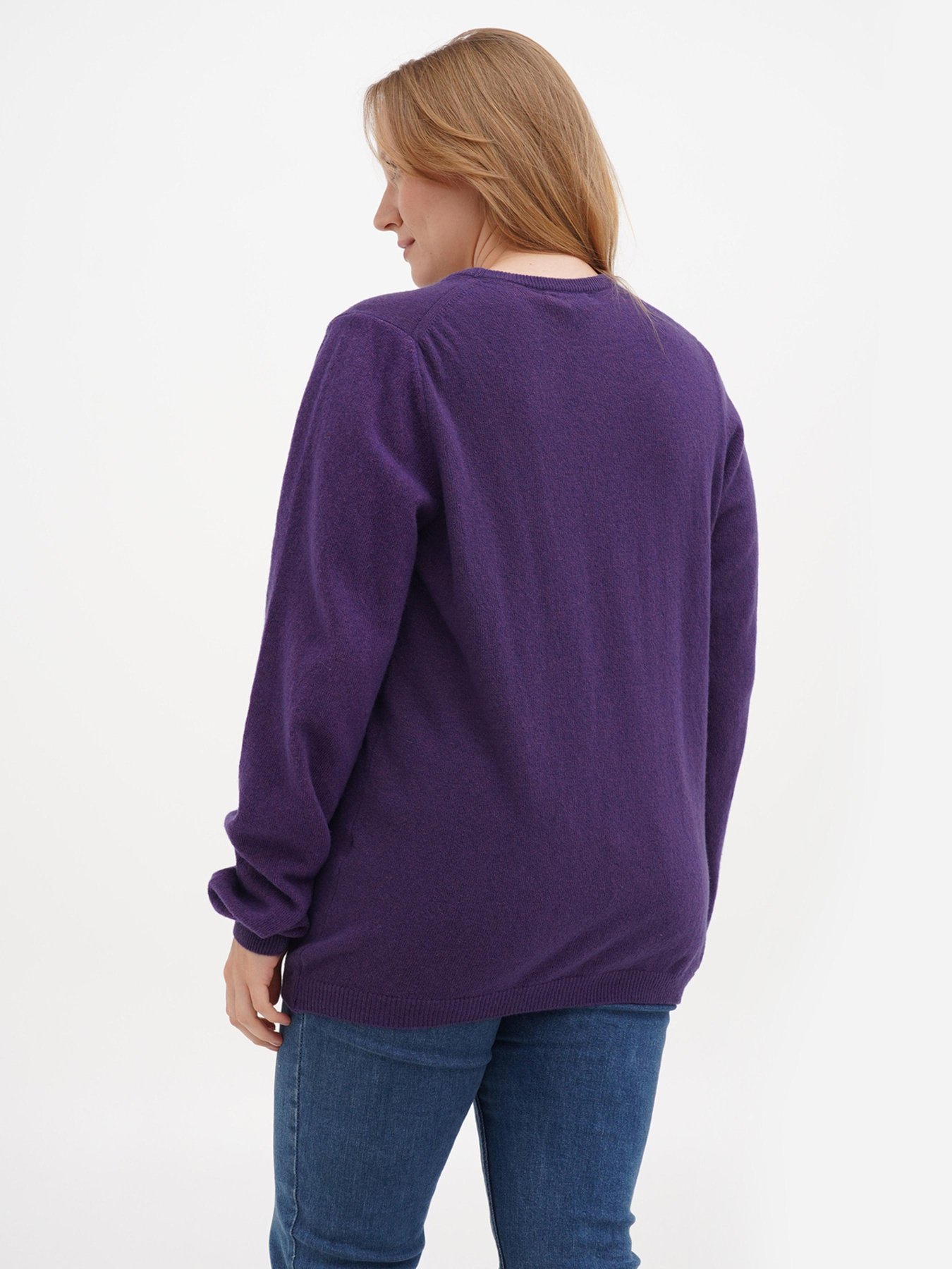 Джемпер Sassofono модель A271-SF-1401_фиолетовый Фото