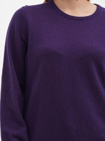 Джемпер Sassofono модель A271-SF-1401_фиолетовый Фото