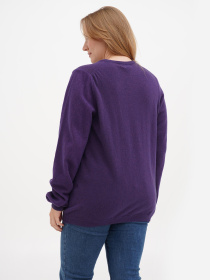 Джемпер Sassofono модель A271-SF-1401_фиолетовый Фото