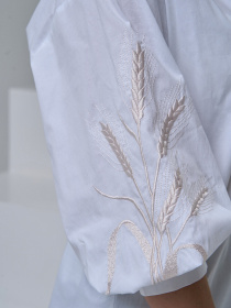 Рубашка повседневная ISSA Plus модель SA-547_белый Рубашка повседневная ISSA Plus модель SA-547_белый Фото