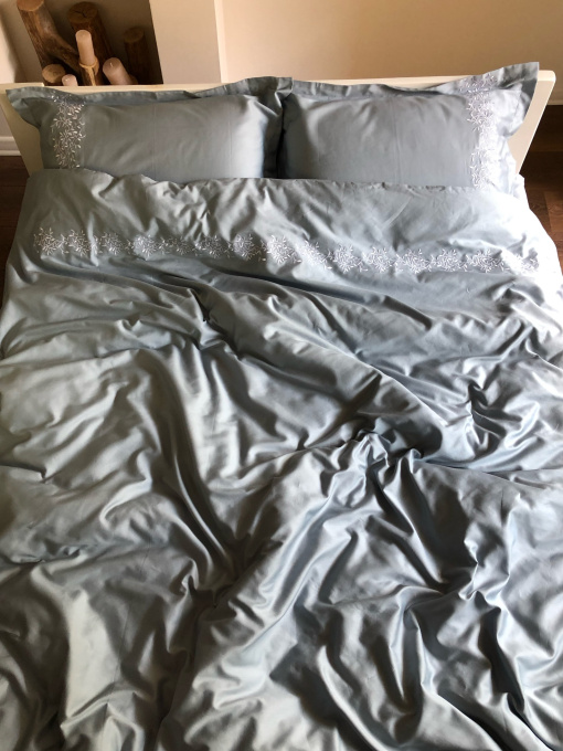 Комплект постільної білизни сіро-блакитний з вишитими гілками Cozy модель 7794313 Фото