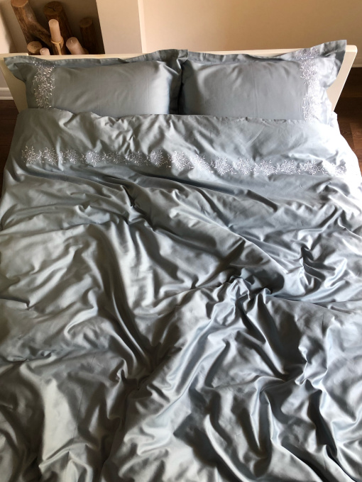 Комплект постільної білизни сіро-блакитний з вишитими гілками Cozy модель 7794313 Фото