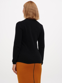 Джемпер Sassofono модель A271-SF-1401_чёрный Фото