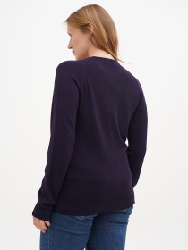 Джемпер Sassofono модель A271-SF-1416 Фото