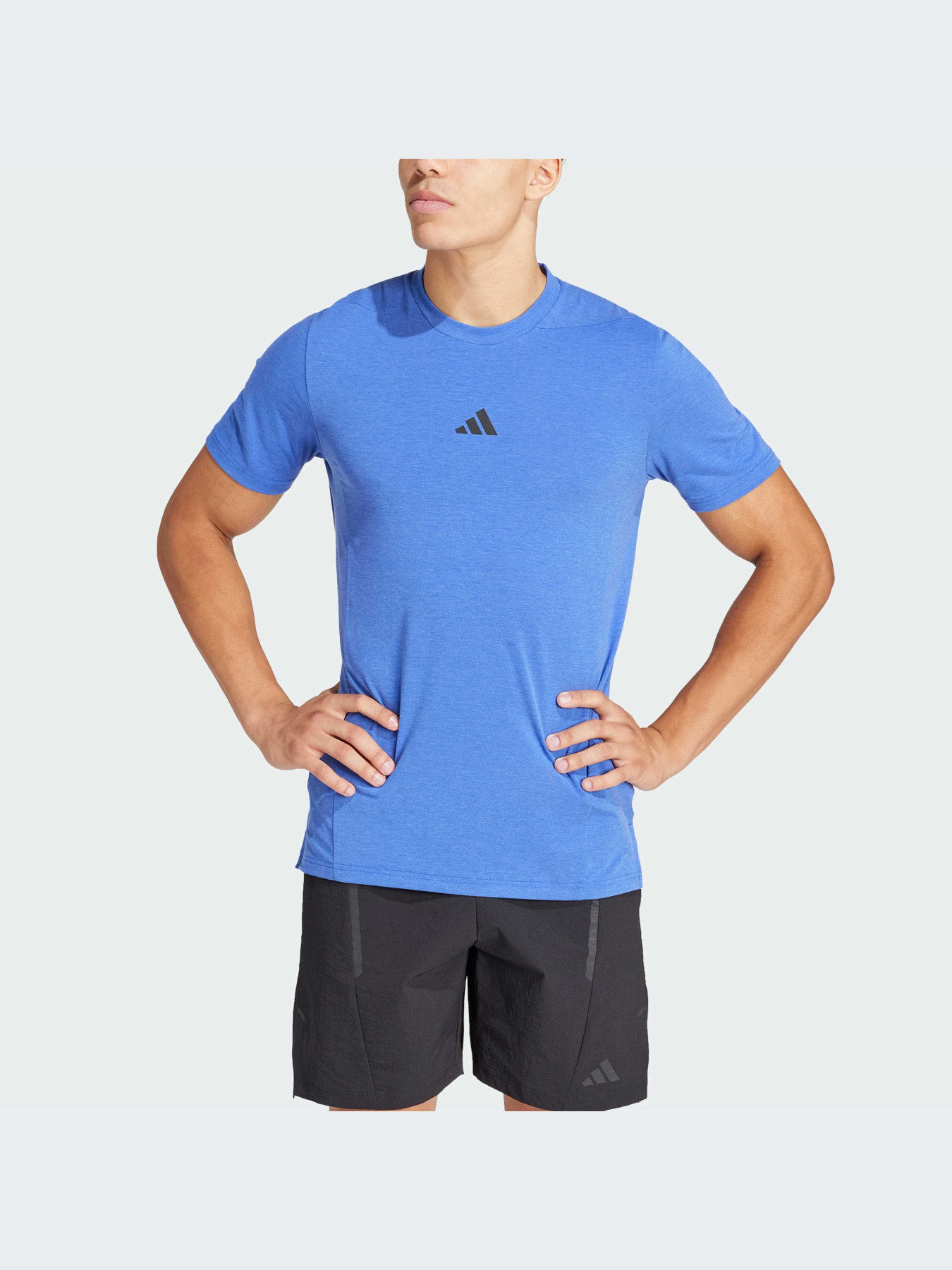 Футболка спортивная Adidas Clima модель IS3816 Фото