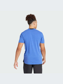 Футболка спортивная Adidas Clima модель IS3816 Фото