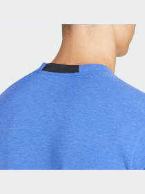 Футболка спортивная Adidas Clima модель IS3816 Фото