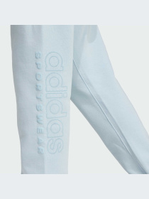 Брюки Adidas модель IY6604 Фото