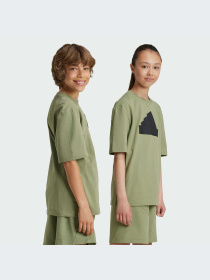 Футболка Adidas модель IV9605 Фото