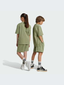 Шорты Adidas модель IX3617 Фото