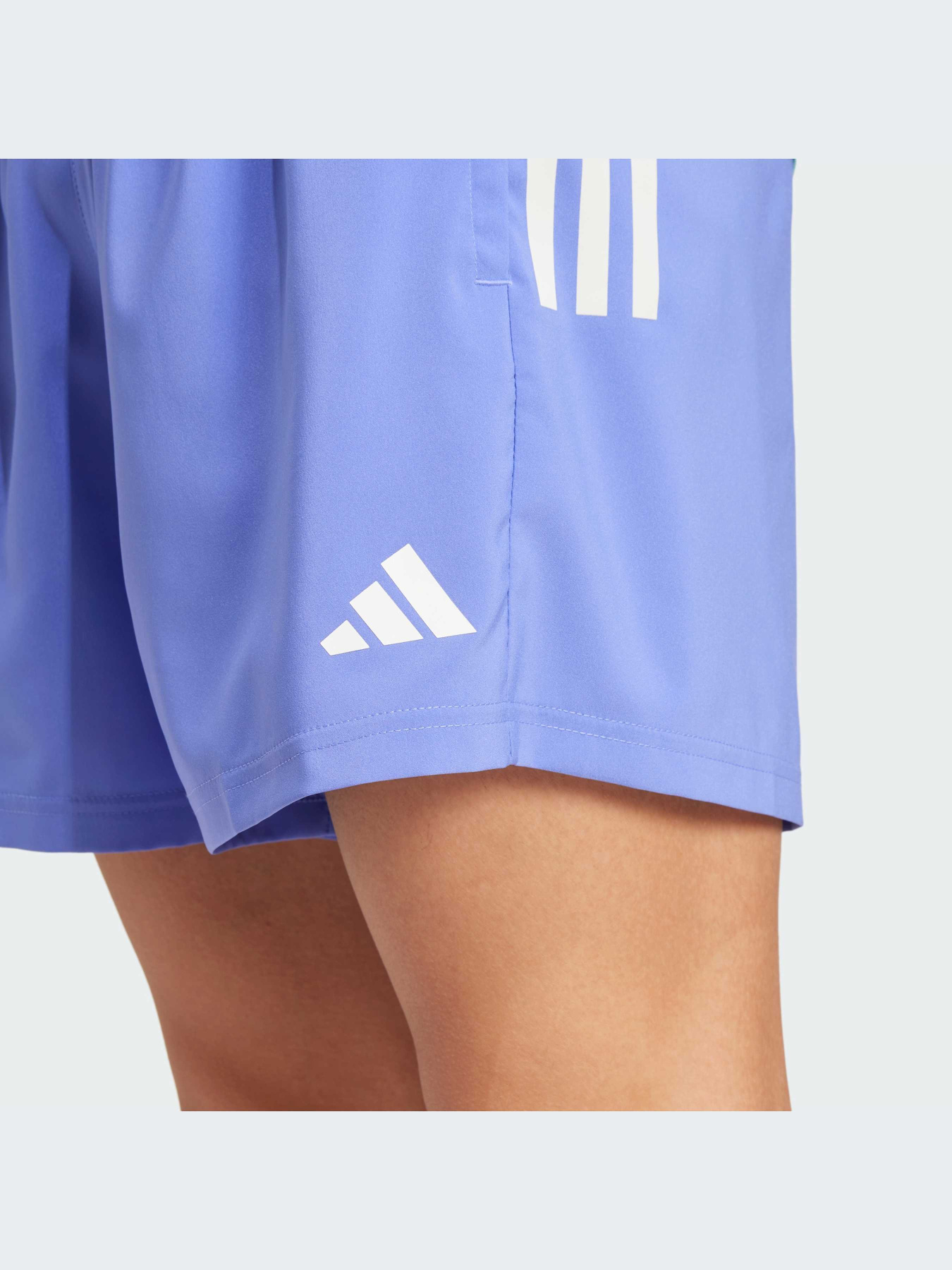 Шорты спортивные Adidas модель IZ4397 Фото