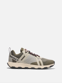Кроссовки Timberland GreenStride™ модель TB0A6DH2EO4 Фото