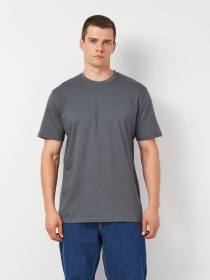 Футболка Роза Модель 231101_grey Фото