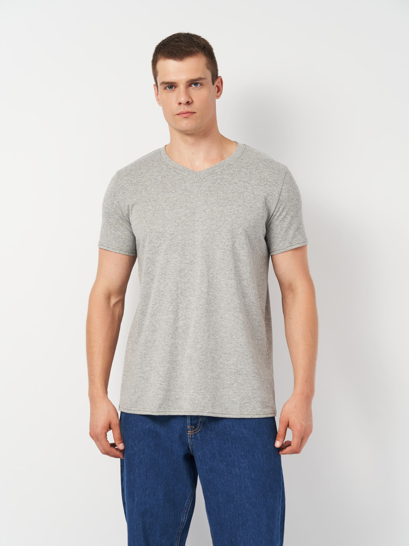 Футболка Роза Модель 240444_grey Фото