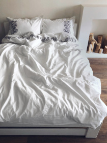 Комплект постільної білизни білий з вишитими сірими півоніями Cozy модель 8048362 Фото