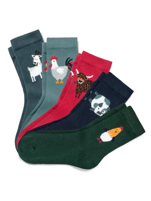 Набор носков Tchibo модель T1724071557 Фото