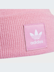 Шапка Adidas Adicolor модель HM1710 Фото