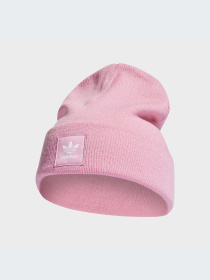 Шапка Adidas Adicolor модель HM1710 Фото