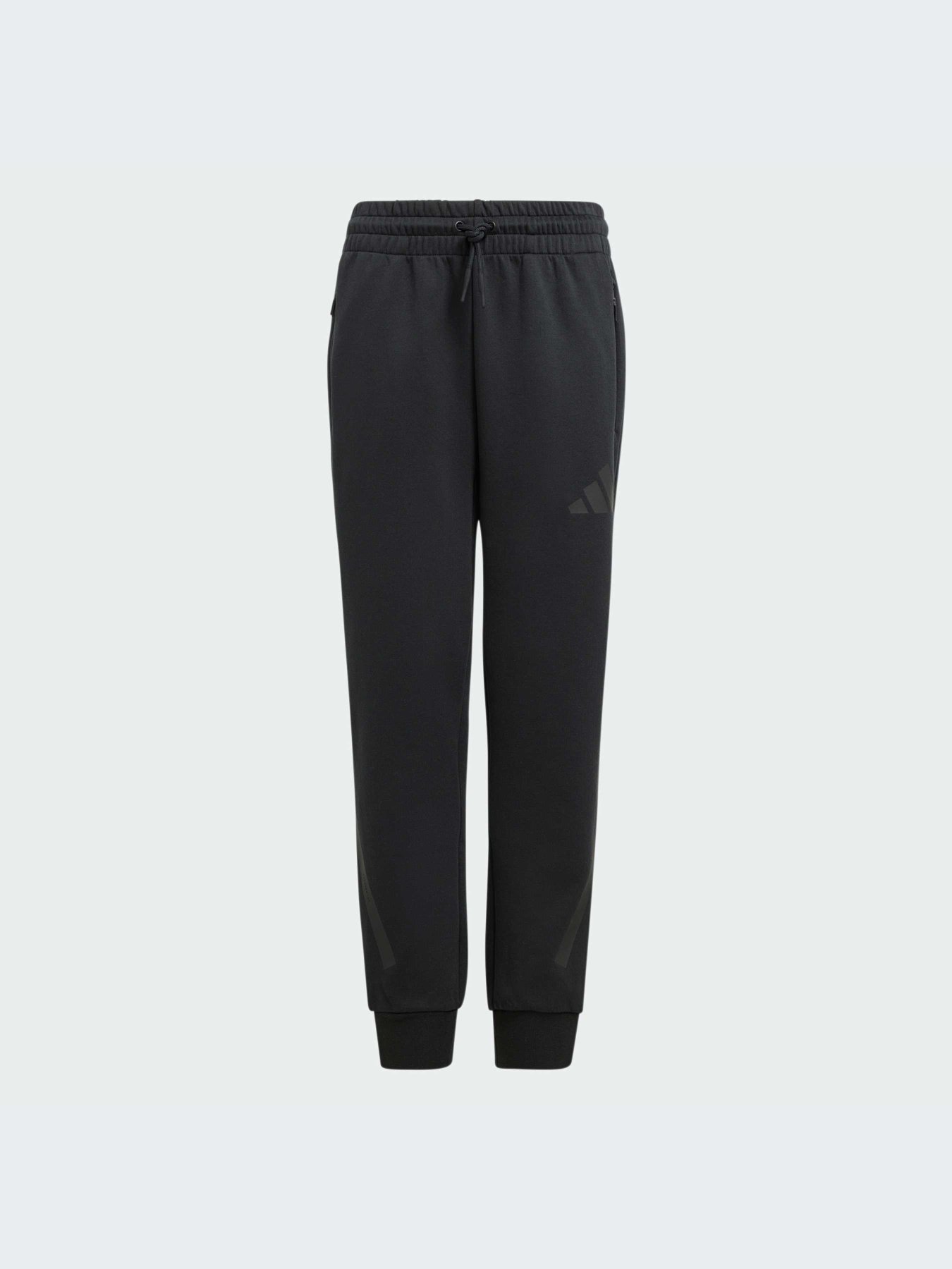 Джогери Adidas ZNE модель JF2491 Фото