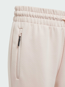 Джогери Adidas ZNE модель JF2820 Фото