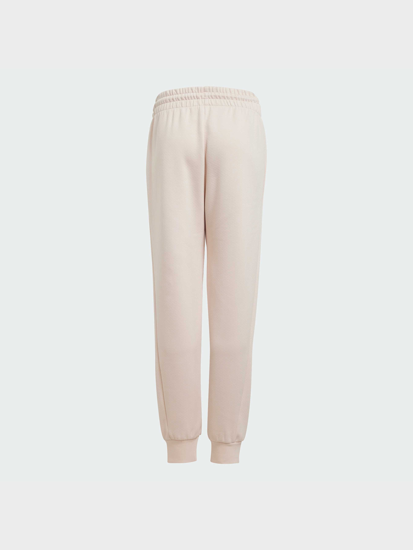 Джогери Adidas ZNE модель JF2820 Фото