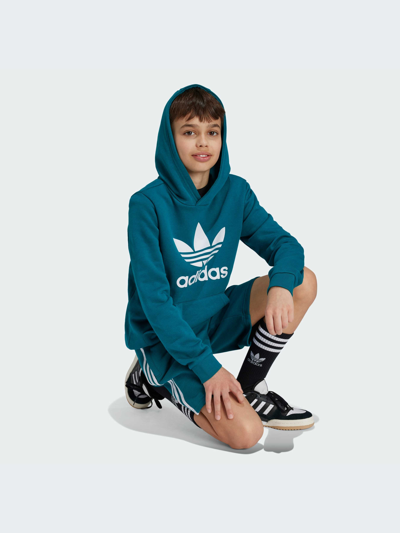 Худі Adidas Adicolor модель IY7440 Фото