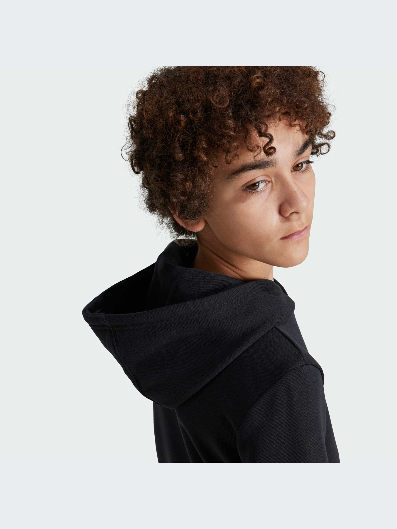 Худі Adidas Adicolor модель IY7446 Фото