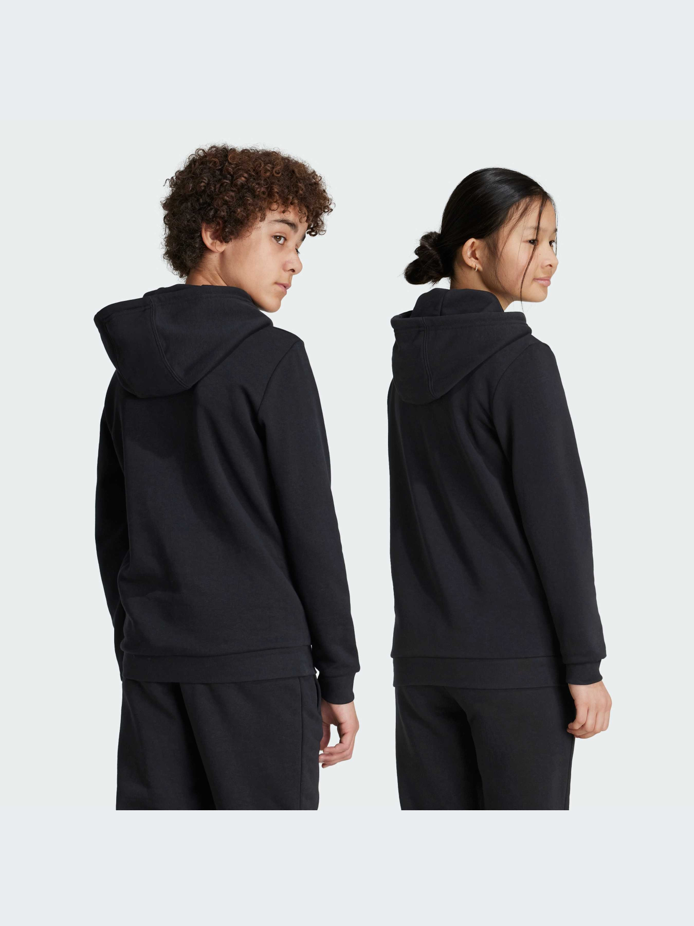 Худі Adidas Adicolor модель IY7446 Фото