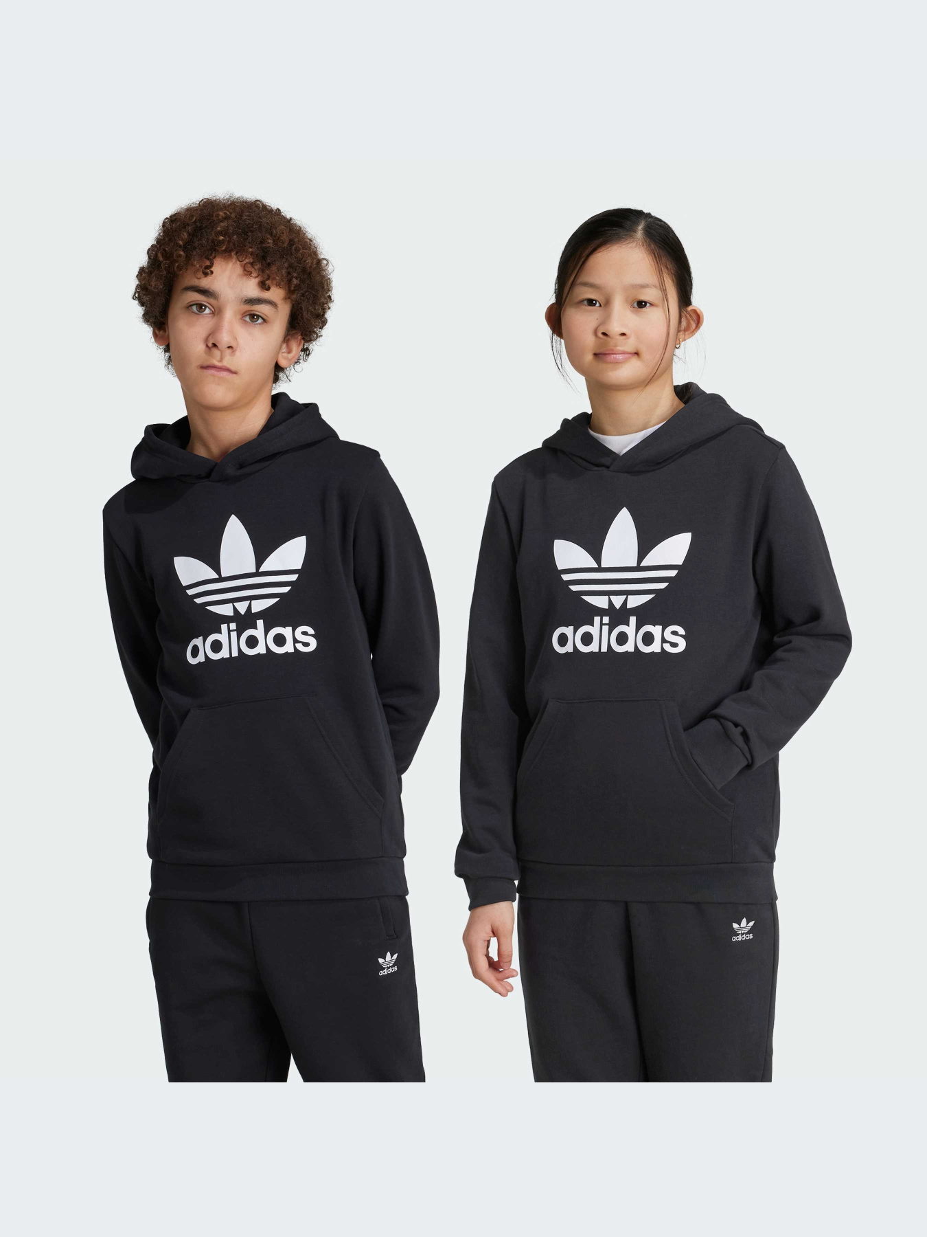 Худі Adidas Adicolor модель IY7446 Фото