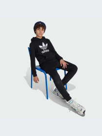 Худі Adidas Adicolor модель IY7446 Фото