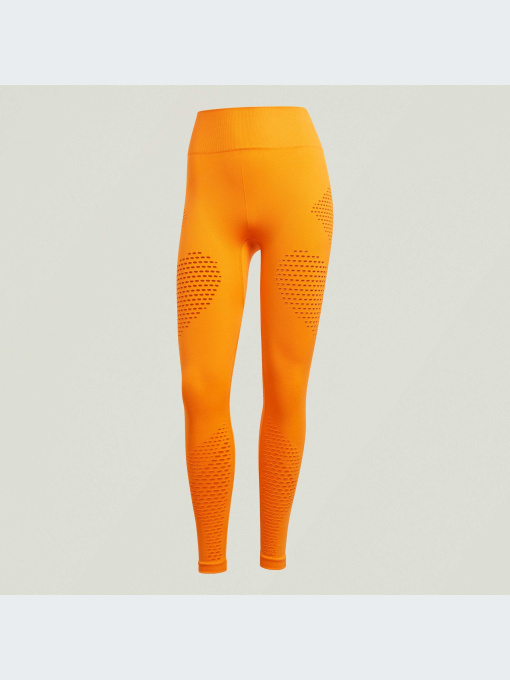 Спортивні леггінси Adidas модель IV9190 Фото