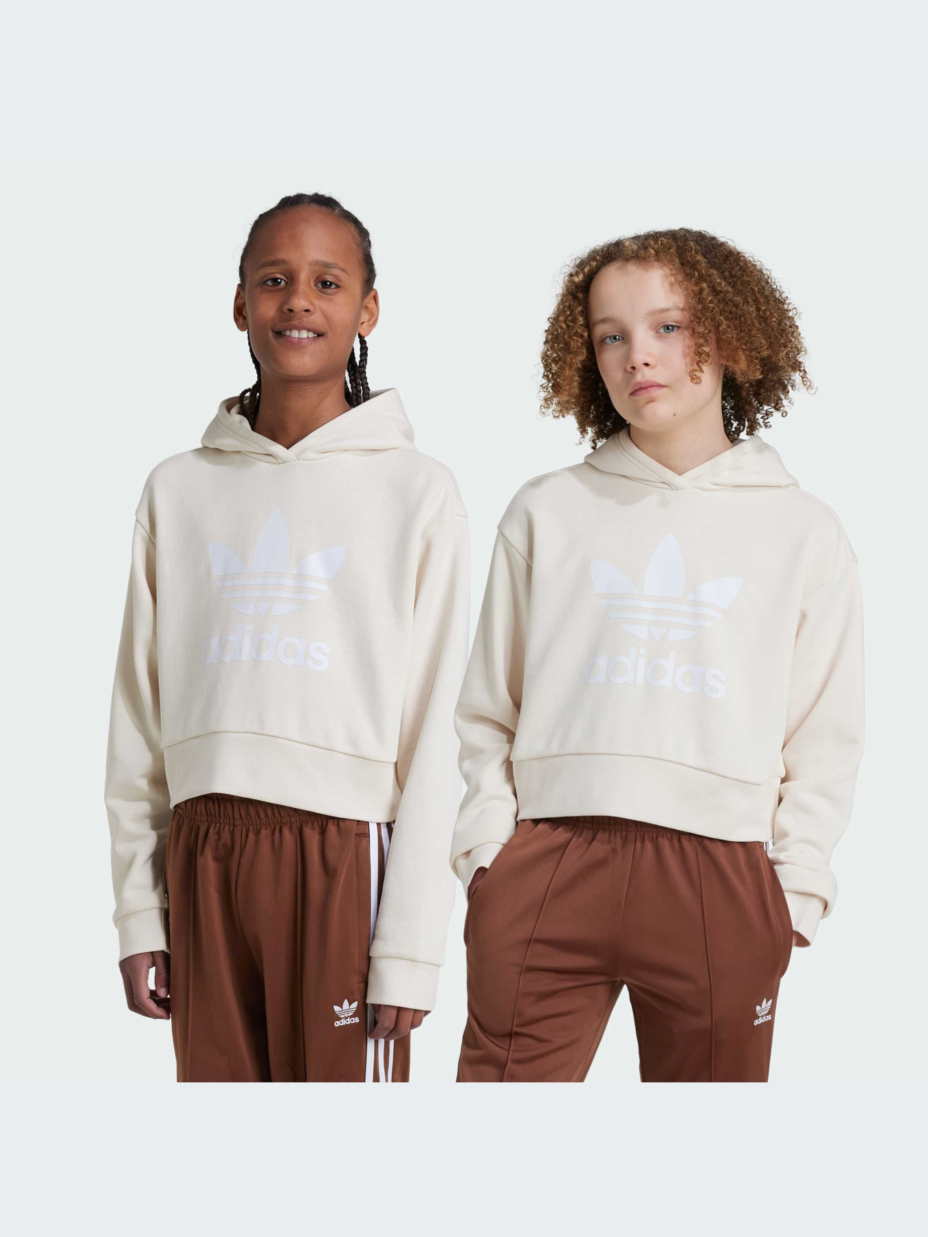 Худи Adidas Adicolor модель IY7468 Фото