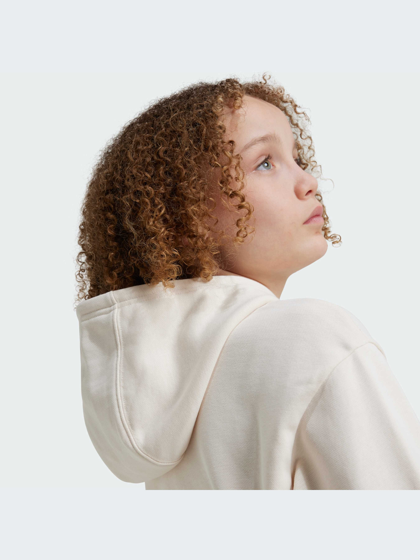 Худи Adidas Adicolor модель IY7468 Фото