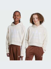 Худи Adidas Adicolor модель IY7468 Фото