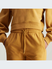 Штаны спортивные Adidas модель IW9889 Фото